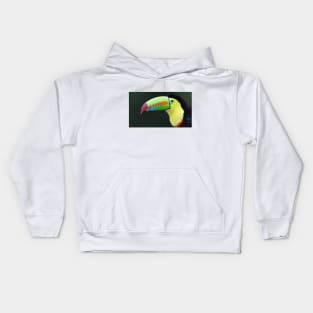 Keel-billed Toucan - Costa Rica Kids Hoodie